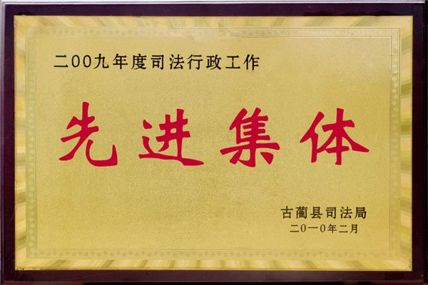 荣获2009年先进集体