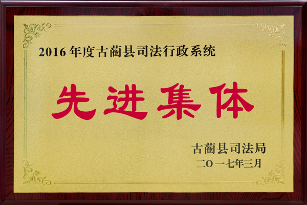 荣获2016年先进集体