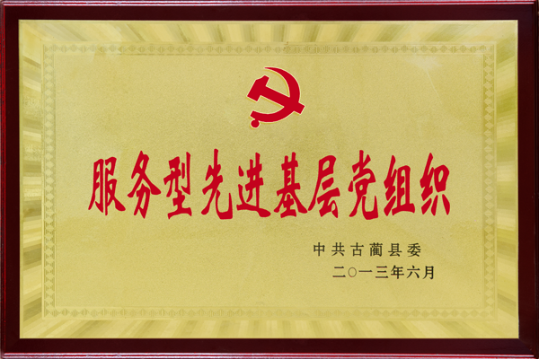 服务先进基层党组织