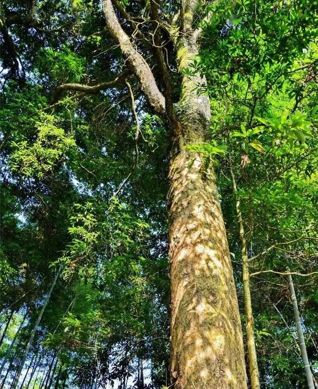 640_wx_fmt=jpeg (1).jpg