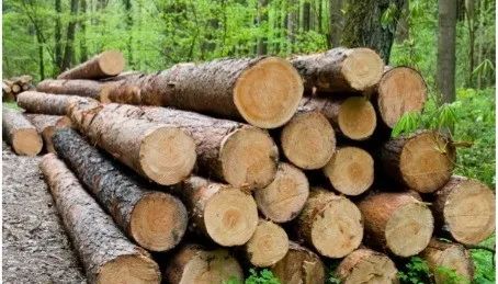 640_wx_fmt=jpeg (3).jpg